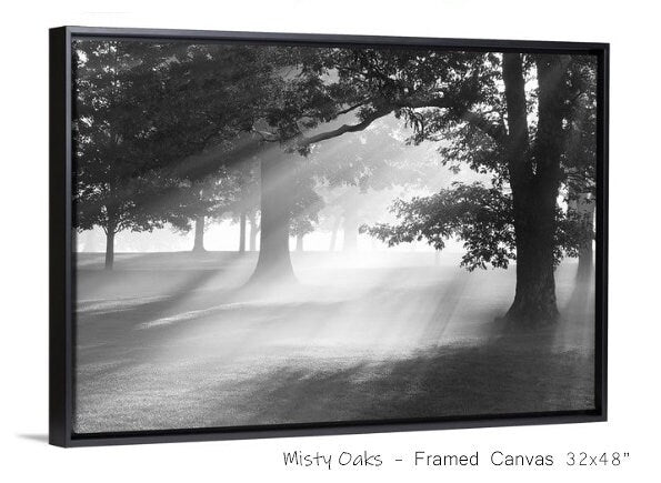 Oak trees wall art, black and white photography print, oak tree art, picture of trees, large canvas art decor, 5x7 8x10 11x14 24x36 32x48"