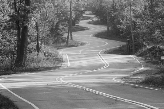 Winding Road photo print, Door County photography, road through woods, landscape photography, large canvas wall art 5x7 8x10 11x14 to 24x36"