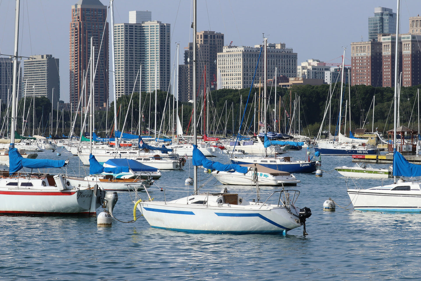 Boats in Chicago Harbor, nautical wall art, Chicago print, nautical decor, large nautical art, unframed, framed, canvas, 5x7 to 32x48"